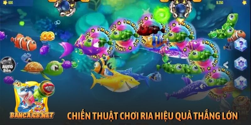 3+ mẹo chơi game bắn cá ăn xu đổi thưởng thắng lớn 2026 6 Chiến thuật chơi ria hiệu quả thắng lớn