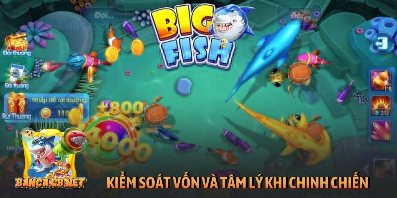 3+ mẹo chơi game bắn cá ăn xu đổi thưởng thắng lớn 2026 4 Kiểm soát vốn và tâm lý khi chinh chiến
