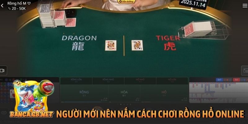 Cách chơi rồng hổ online dễ hiểu, áp dụng là thắng lớn 4 Người mới nên nắm chắc cách chơi rồng hổ online